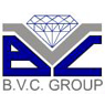 /images/logos/local/bvc_group.jpg