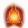 /images/logos/local/th_astrologerscience.jpg