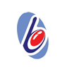 /images/logos/local/th_brethreninfotech.jpg