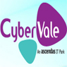 /images/logos/local/th_cybervale.jpg