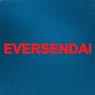 /images/logos/local/th_eversendai.jpg