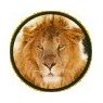 /images/logos/local/th_leo_enterprises.jpg