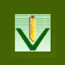 /images/logos/local/th_maize.jpg