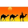 /images/logos/local/th_rajasthantour.jpg