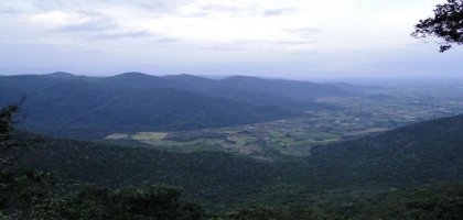 Pachamalai Hill Station