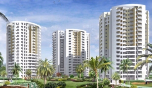 Chennai Real Estate