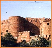  Delhi old-fort