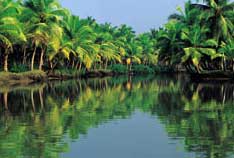City Guide - Thiruvananthapuram - City