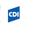 CDI Government Services