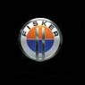 Fisker Automotive, Inc.