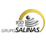 Grupo Salinas