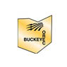 Buckeye Power Inc.