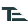 Trans-Elect Development Company LLC 