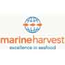 Marine Harvest ASA