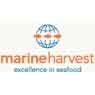 Marine Harvest ASA