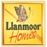 Llanmoor Development Co