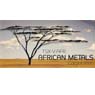 African Metals Corporation