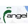 Angel Mining PLC