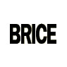 Brice Building Company, Inc.