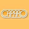Caparo plc