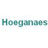 Hoeganaes Corporation