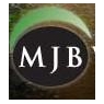 MJB Wood Group, Inc.