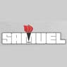 Samuel, Son & Co. Ltd.