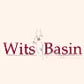 Wits Basin Precious Minerals Inc.