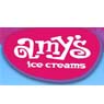 Amy's Ice Creams, Inc.