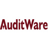 AuditWare Systems Limited