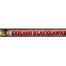 Chicago Blackhawk Hockey Team, Inc.