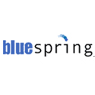Bluespring Software Inc.