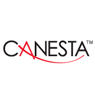 Canesta, Inc.