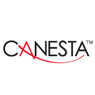 Canesta, Inc.