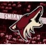 Coyotes Hockey, LLC 