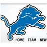 Detroit Lions, Inc.