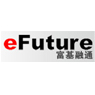 eFuture Information Technology Inc.