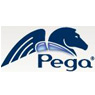 Pegasystems Inc.