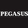 Pegasus Disk Technologies, Inc