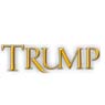 Trump Entertainment Resorts, Inc.