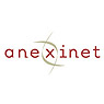 Anexinet Corp
