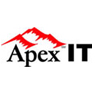 Apex IT, Inc.
