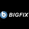 BigFix, Inc