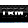 IBM Global Services