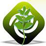 	 New Generation Biofuels Holdings, Inc