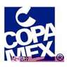 Copamex, S.A. de C.V.