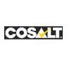 Cosalt plc