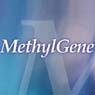 MethylGene Inc.