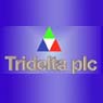 Tridelta plc
