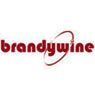 Brandywine Communications Inc.